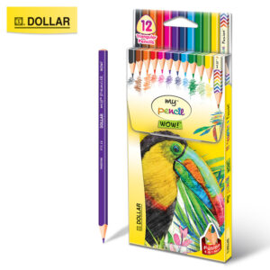 Dollar 12 full colour pencil